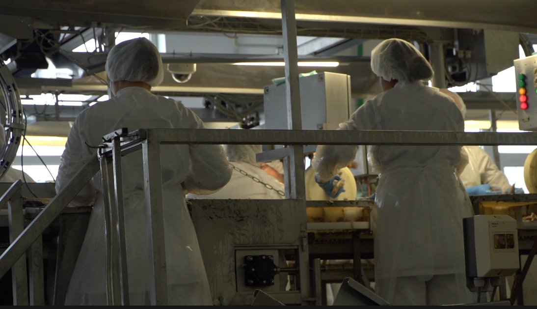 Meklēt veidus, kā darbu darīt efektīvāk! SIA “Karavela” pieredzes stāsts