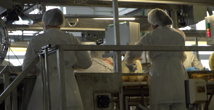 Meklēt veidus, kā darbu darīt efektīvāk! SIA “Karavela” pieredzes stāsts